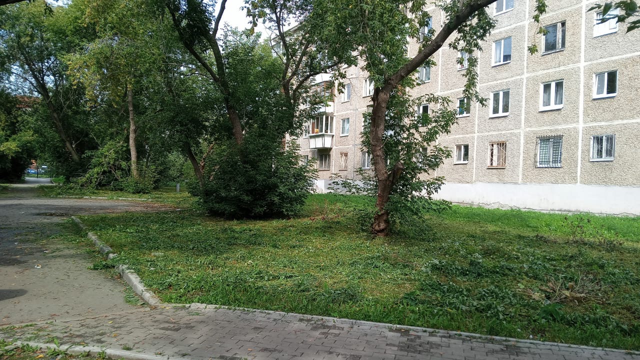 61527c44-283b-4178-9c21-5a7f1a0cac33 Администрация сообщила о полном выполнении работ по покосу газона на улице Крауля