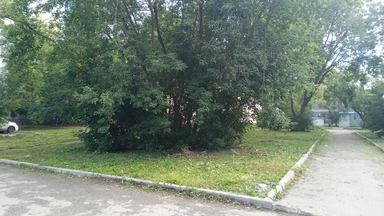 79155032-efab-408a-b796-22c579013bbf Администрация сообщила о полном выполнении работ по покосу газона на улице Крауля