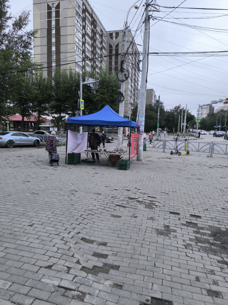 image-10-768x1024 На том же месте: на Щорса, 29 продолжается незаконная продажа ягод
