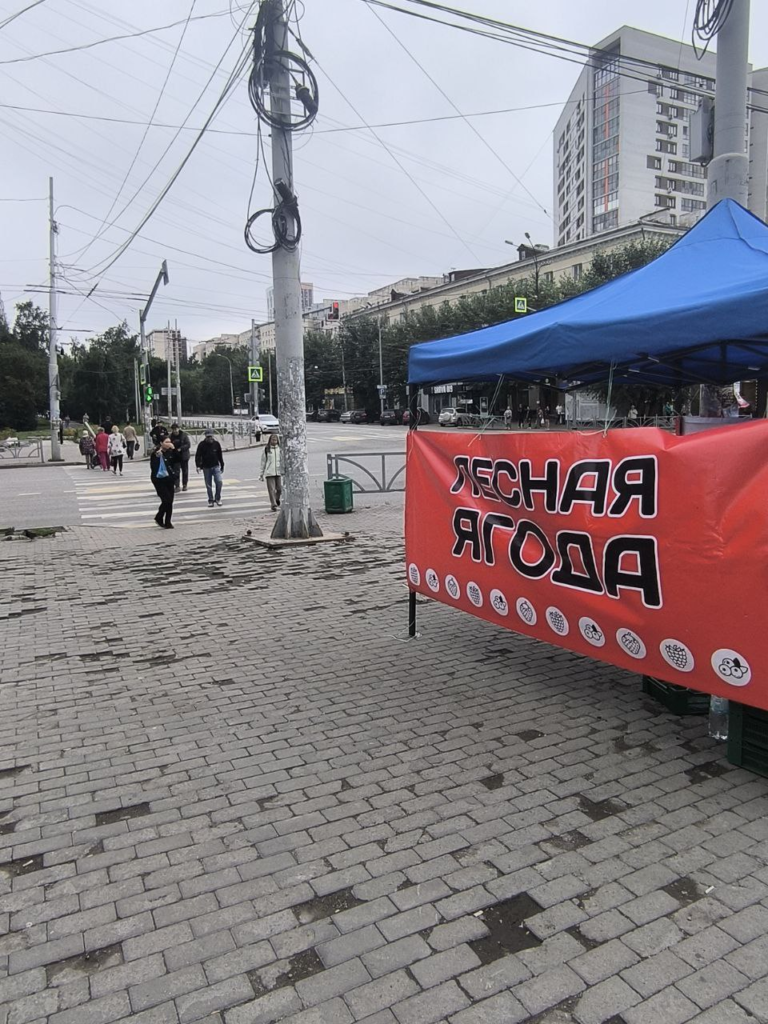 image-11-768x1024 На том же месте: на Щорса, 29 продолжается незаконная продажа ягод