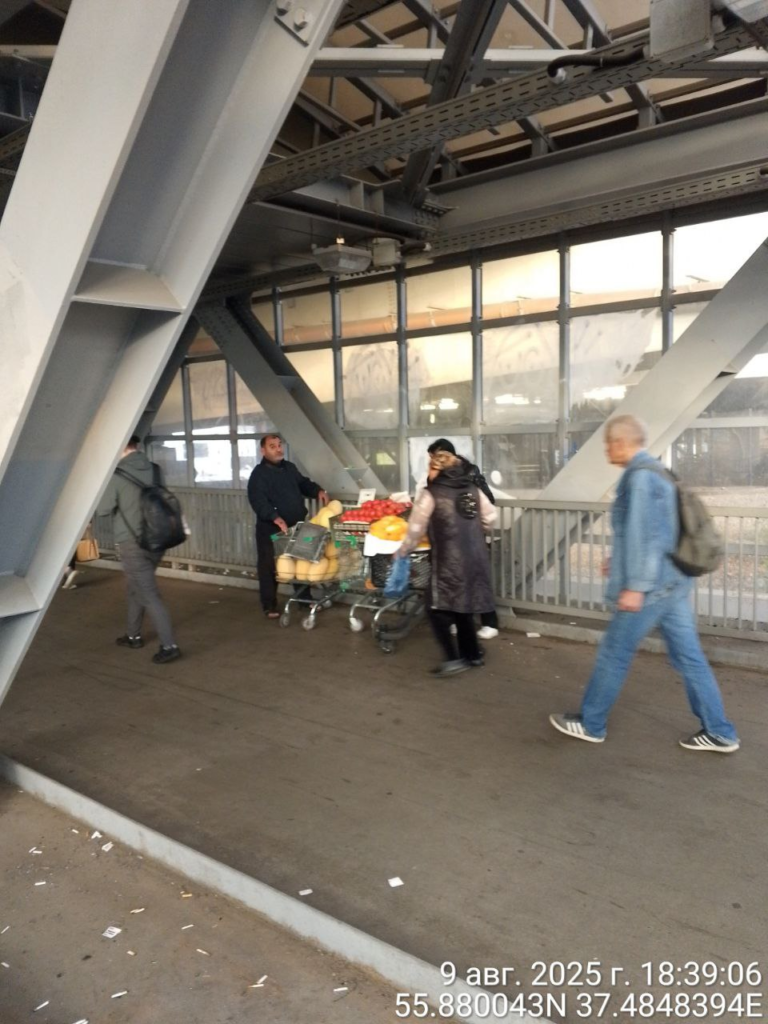 image-118-768x1024 На станции метро «Ховрино» в Москве иностранные торговцы продают продукты без документов