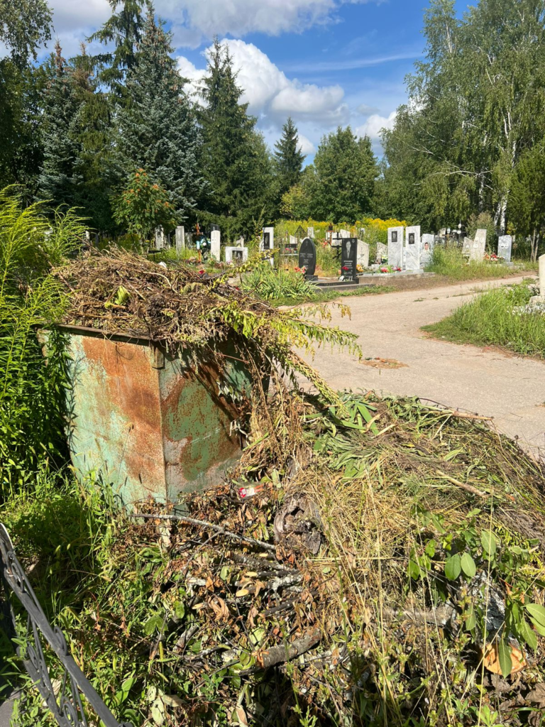 image-139-768x1024 Антисанитария и неуважение: в Димитровграде возмущены состоянием кладбища