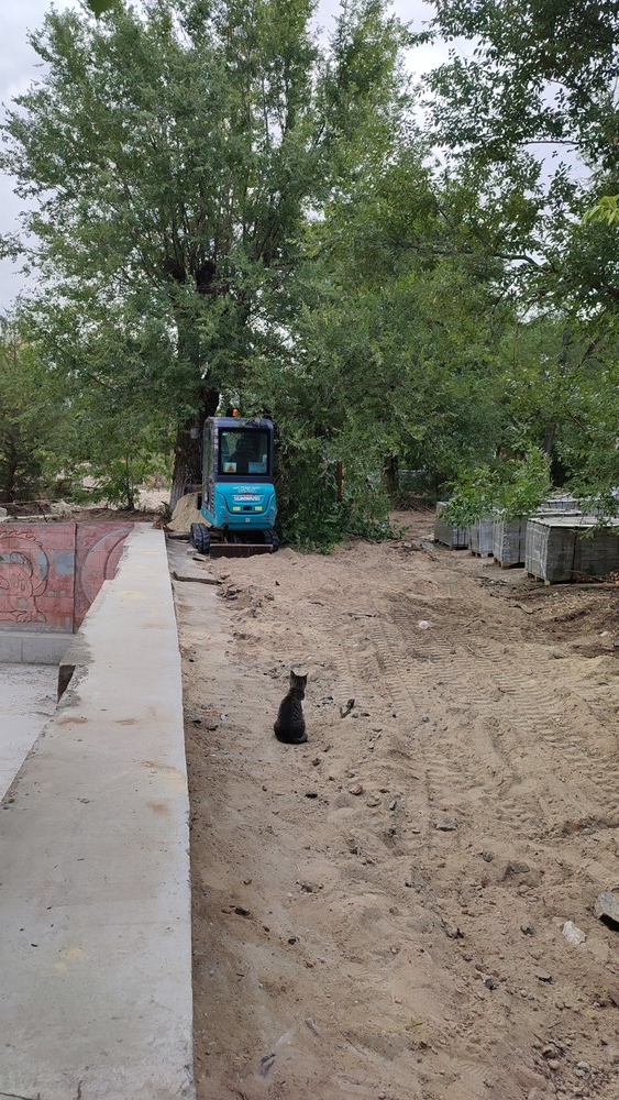 image-143 В Элисте реновация улицы Городовикова обернулась вырубкой деревьев и разрухой