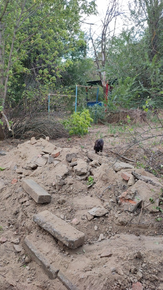 image-144 В Элисте реновация улицы Городовикова обернулась вырубкой деревьев и разрухой