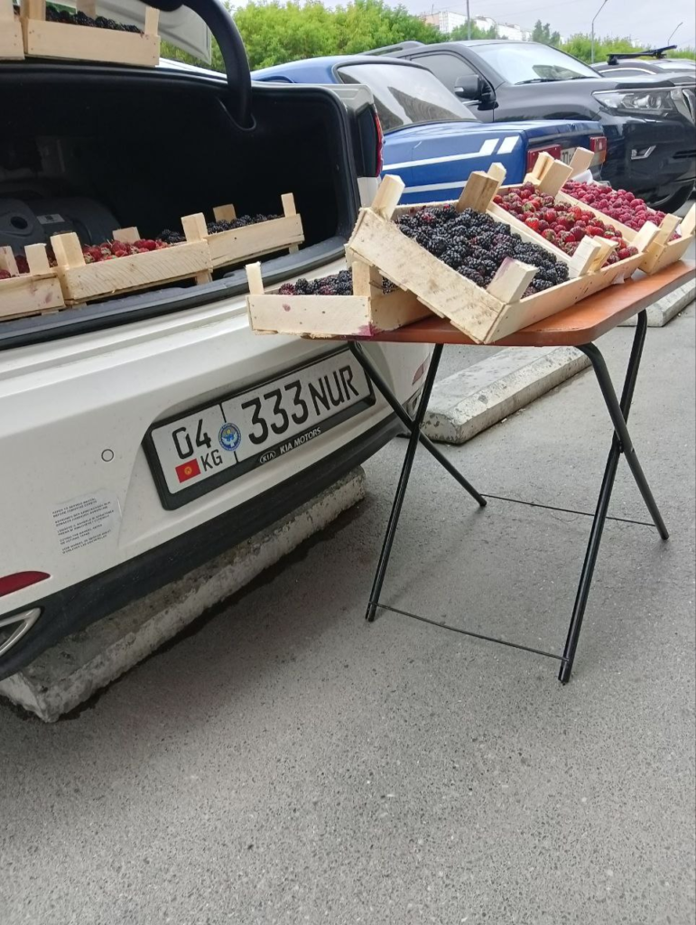 image-200-771x1024 В Тюмени требуют остановить несанкционированную продажу ягод с авто на Ямской