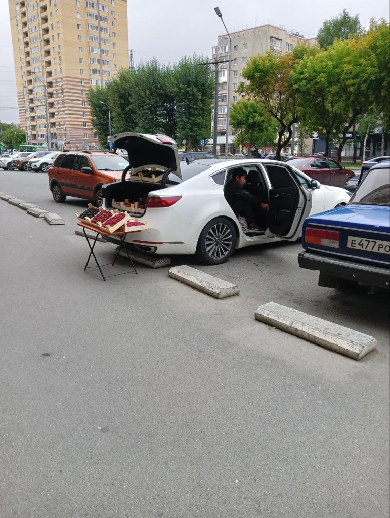 image-201-771x1024 В Тюмени требуют остановить несанкционированную продажу ягод с авто на Ямской