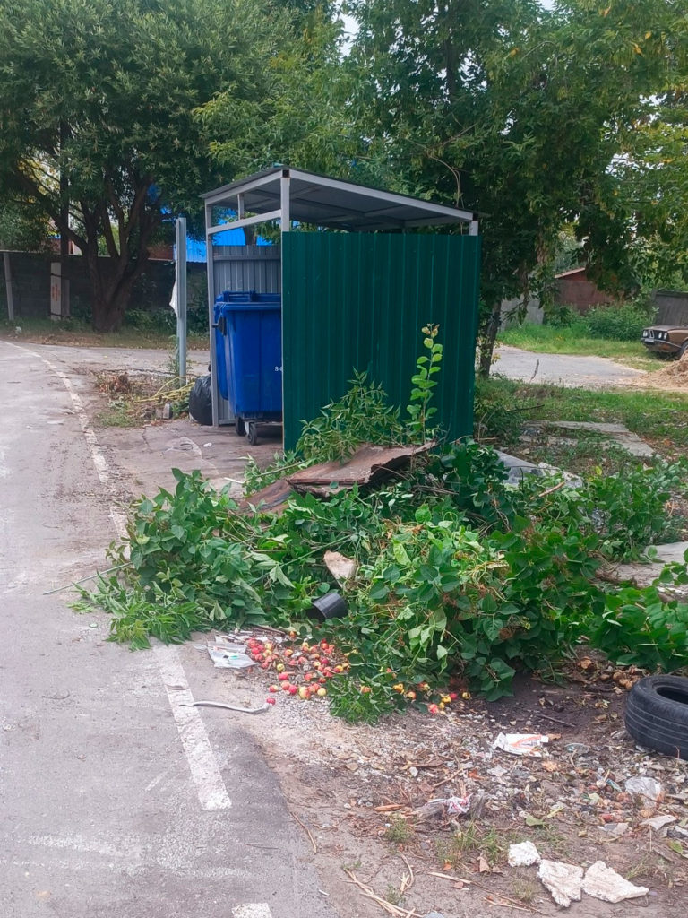 stepnaya-1-768x1024 Тюменцы требуют переноса мусорной площадки на Степной из-за антисанитарии