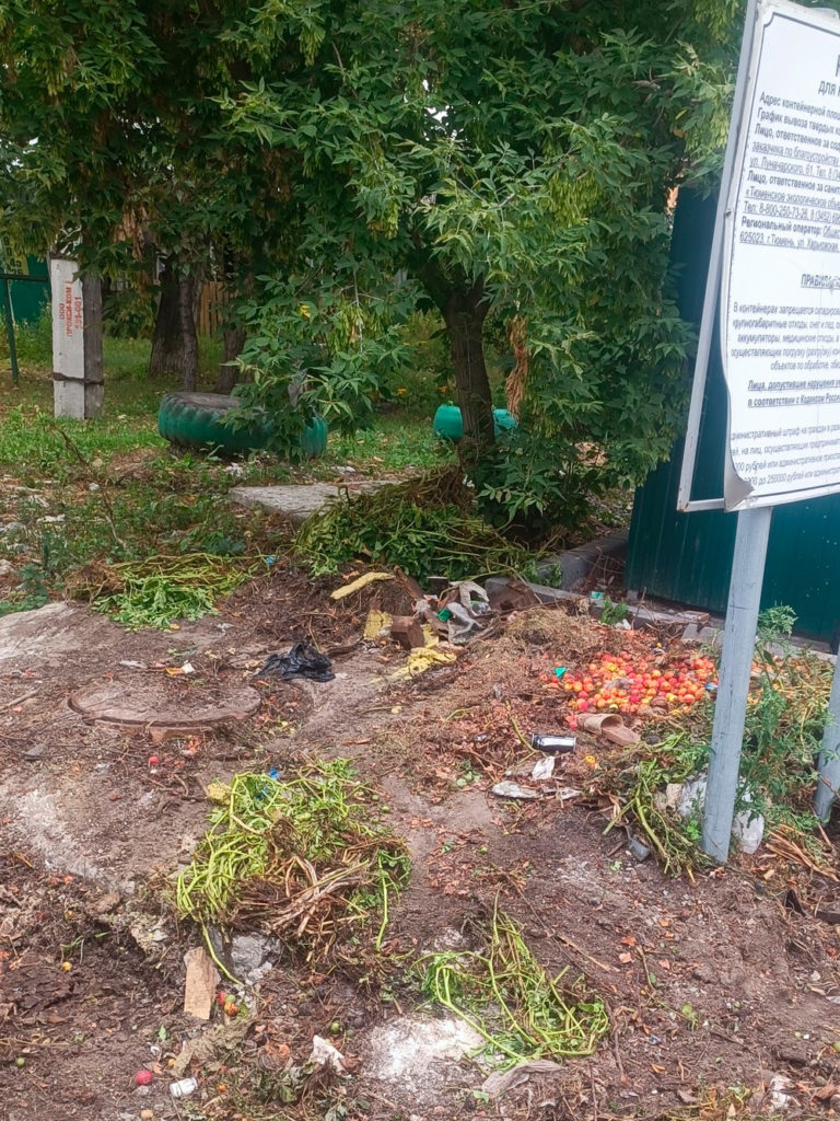 stepnaya-2-768x1024 Тюменцы требуют переноса мусорной площадки на Степной из-за антисанитарии