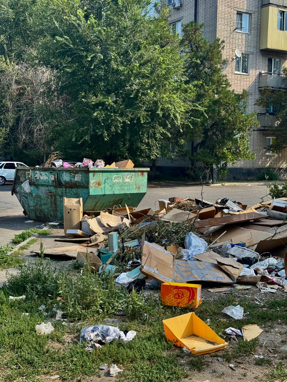 3e058de7316d8acdad944a5353a6950e В Черкесске устроили свалку мусора на улице Интернациональная, службы бездействуют