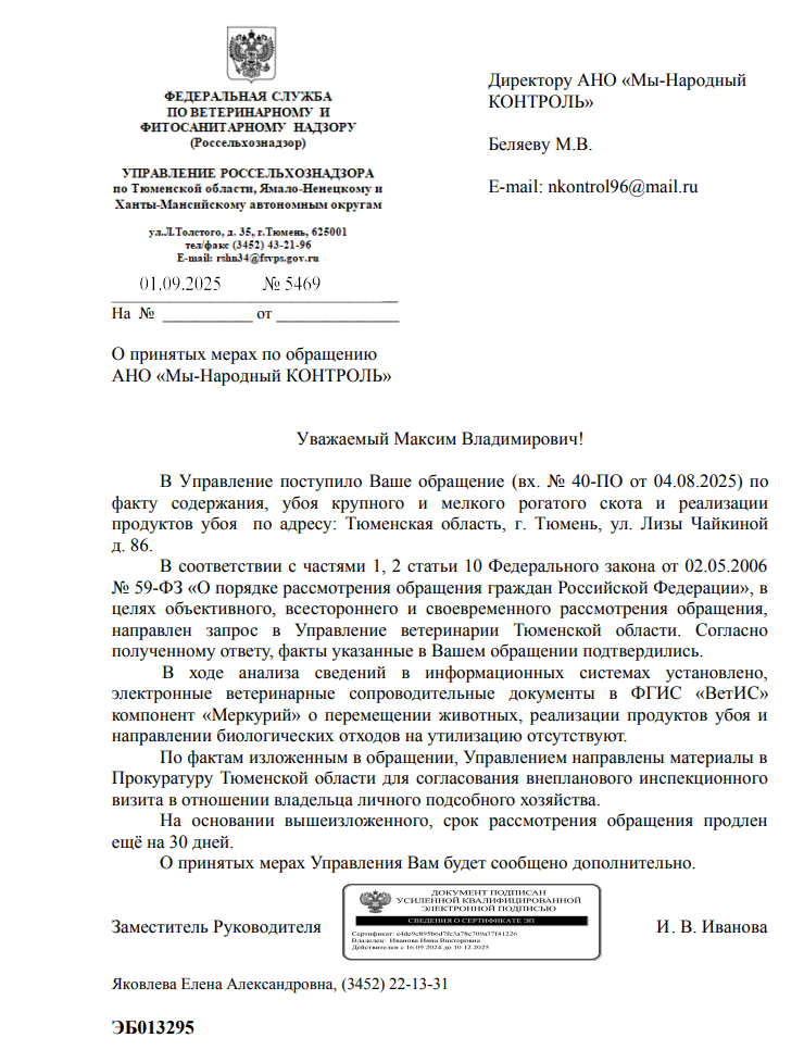 image-11 Россельхознадзор подтвердил нарушения при забое скота на ул. Лизы Чайкиной в Тюмени