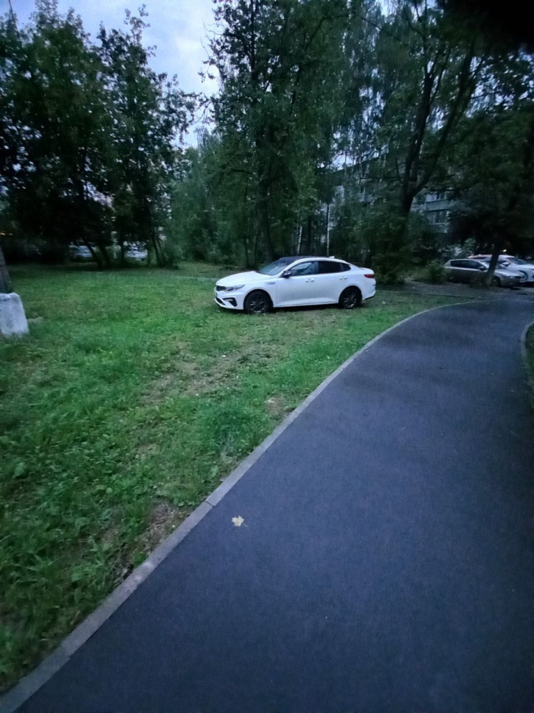 image-337-768x1024 Подборка автохамов, автонарушителей за 19 - 23 августа
