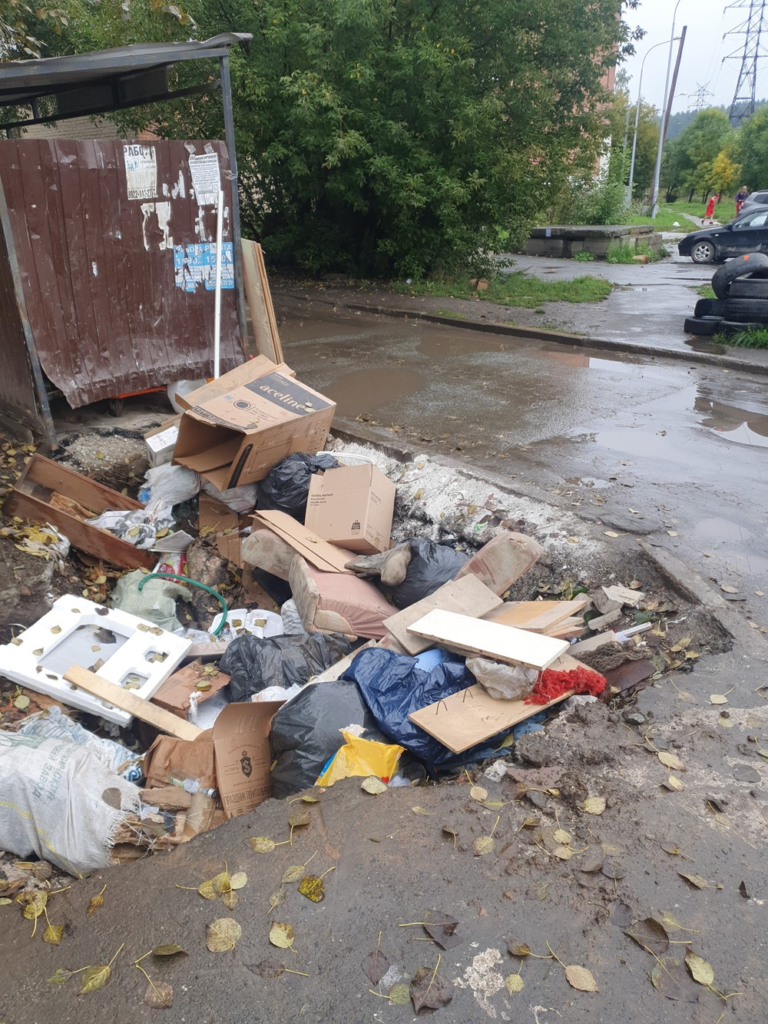 image-55-768x1024 В Екатеринбурге образовалась стихийная свалка шин у остановки «Елизавет»