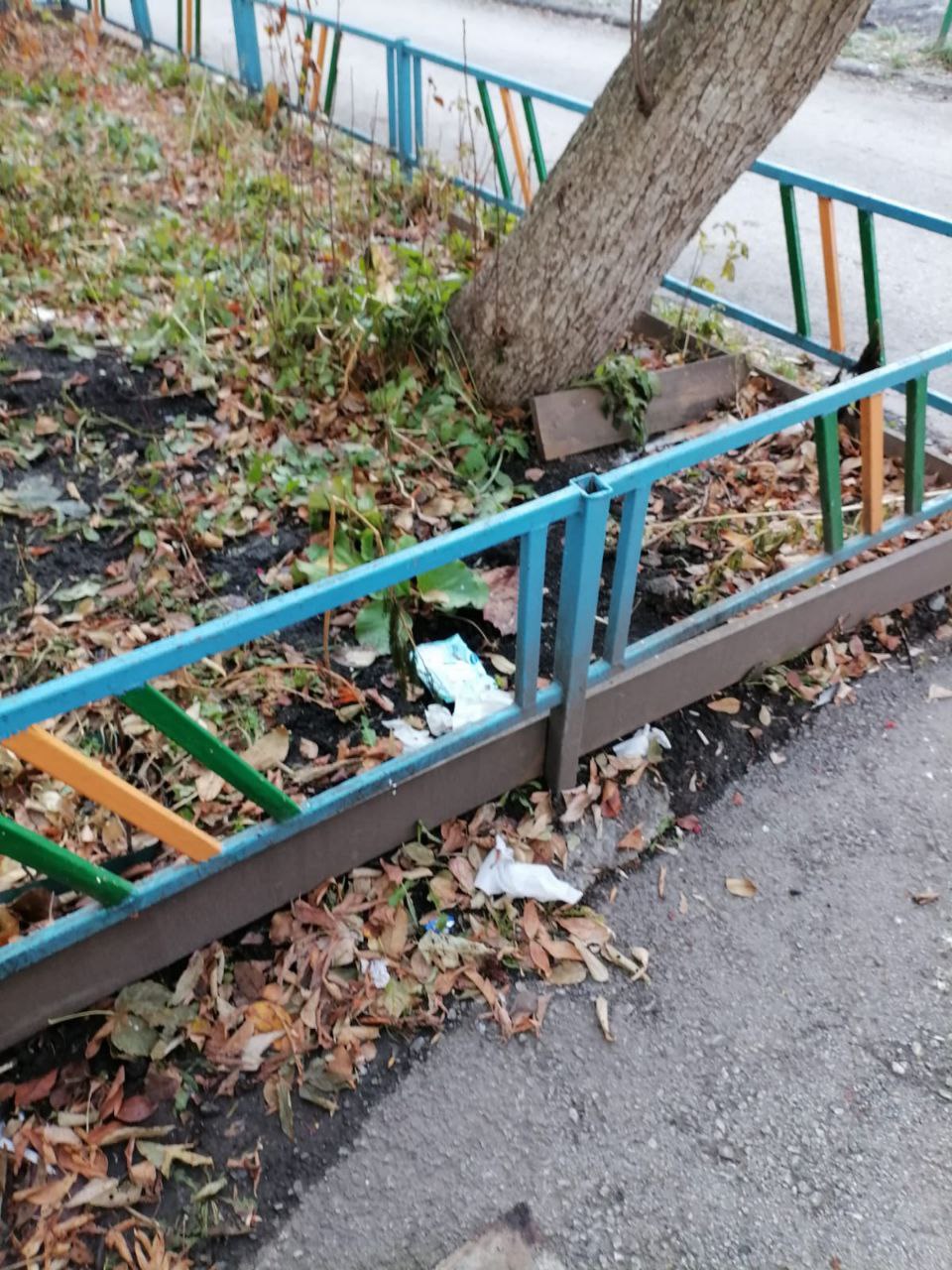 1dd49d8deedab4ebdcf4a31947032a3d В Екатеринбурге УК «Лазурит» месяц не убирает двор на Машиностроителей