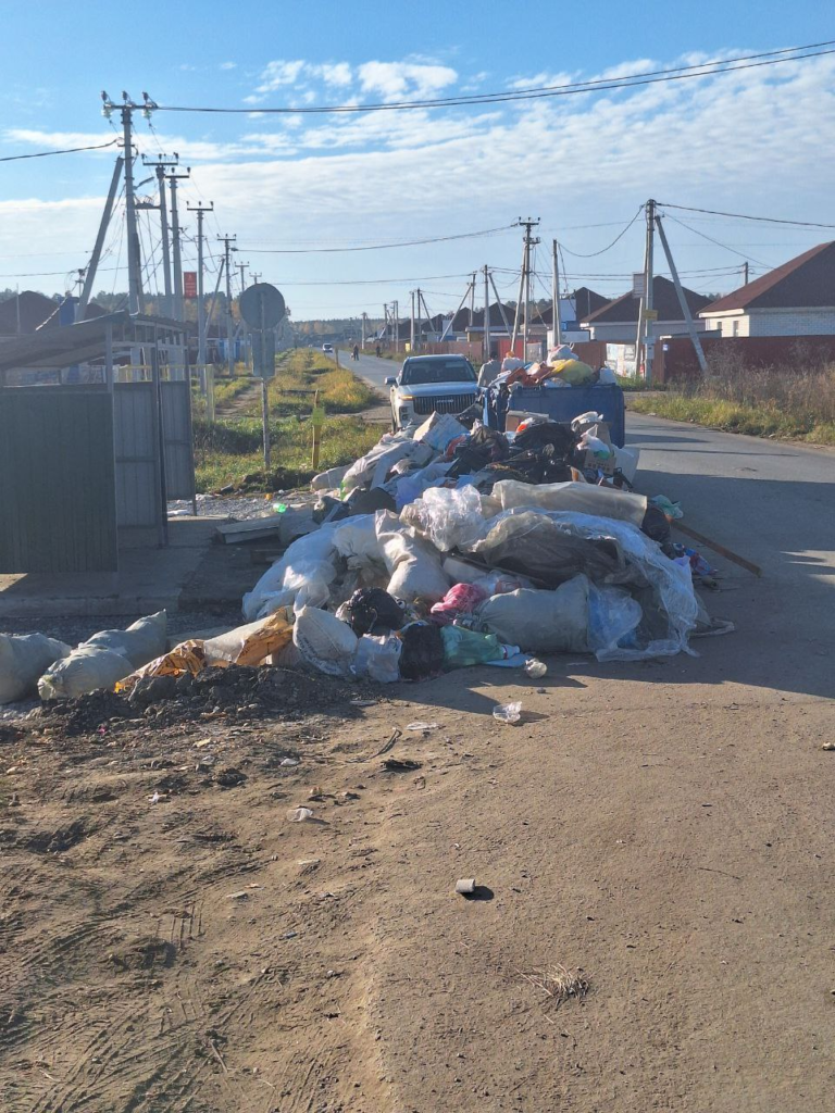 image-46-768x1024 «Ничего не меняется»: жители Перевалово вновь жалуются на свалку у трассы