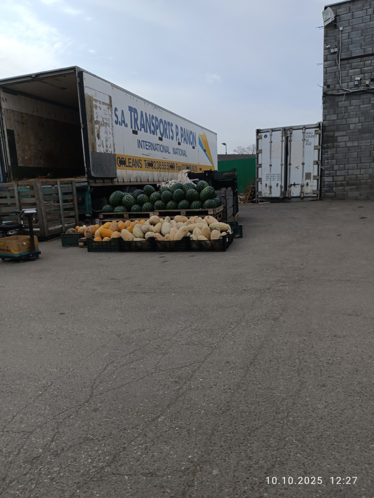 image-67-768x1024 В Ижевске требуют проверить овощную базу на улице Пойма
