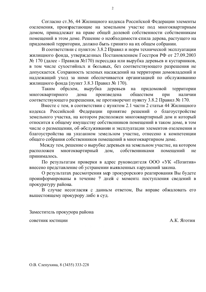 image-89 Прокуратура Нижнего Тагила внесла представление УК за незаконную вырубку деревьев на ул. Новострой