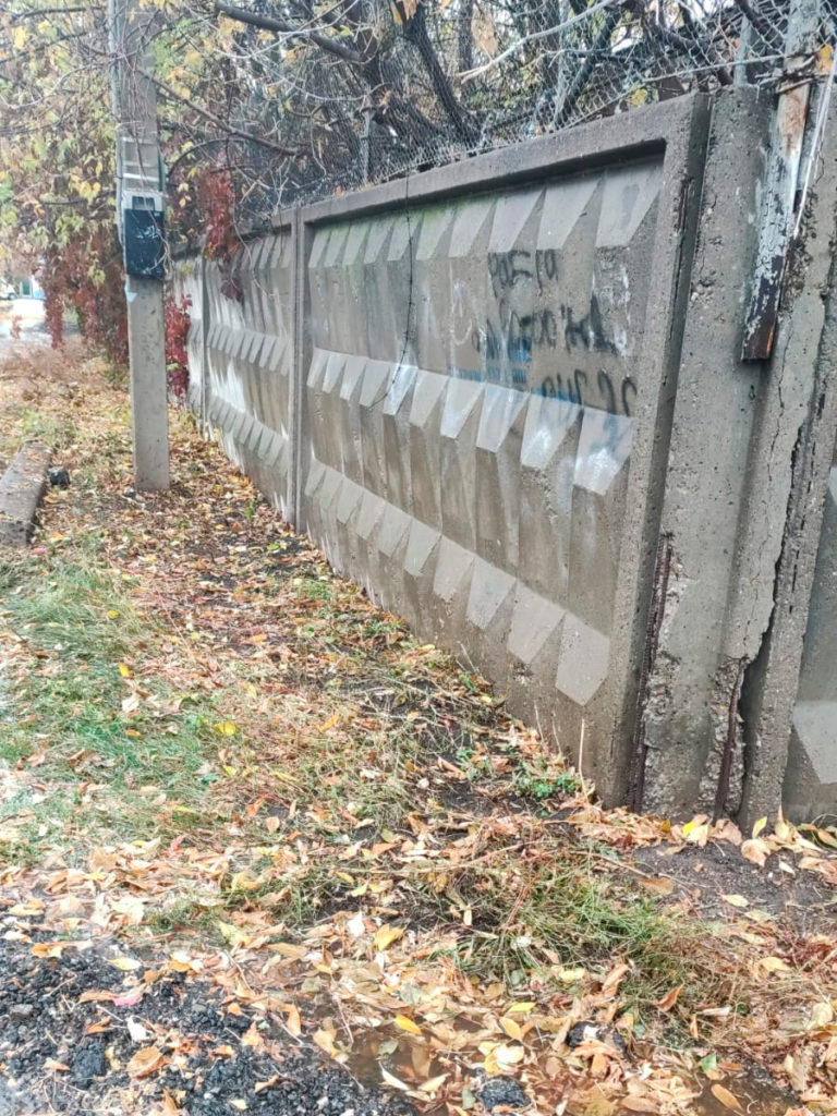 ryabinushka2-768x1024 В Набережных Челнах привели в порядок территорию на ул. Маркова
