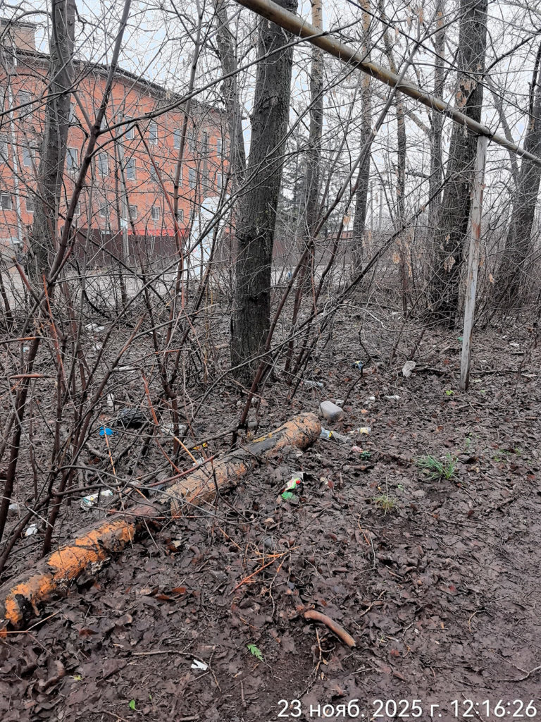 Almetevsk-industrialnaya-2-768x1024 В Альметьевске на улице Индустриальной образовалась стихийная свалка