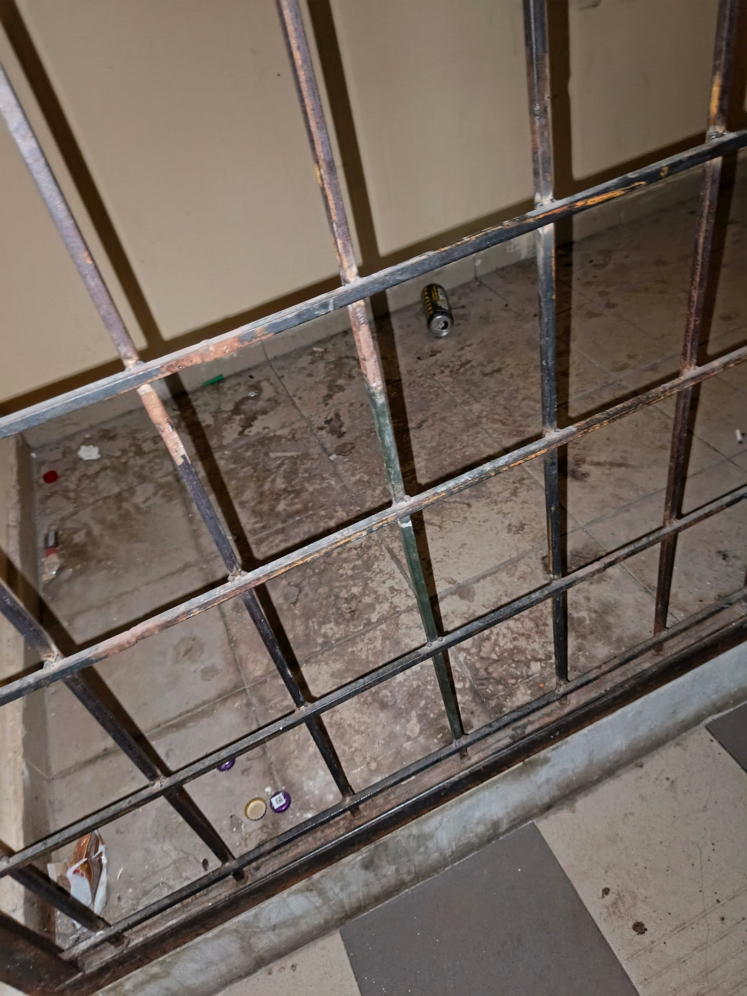 IMG_20251112_182404_186-179d21a3a0ad9873c0403c0f621f96036 Жители дома на Дизельном, 40 в Екатеринбурге бьют тревогу из-за антисанитарии и бездействия УК