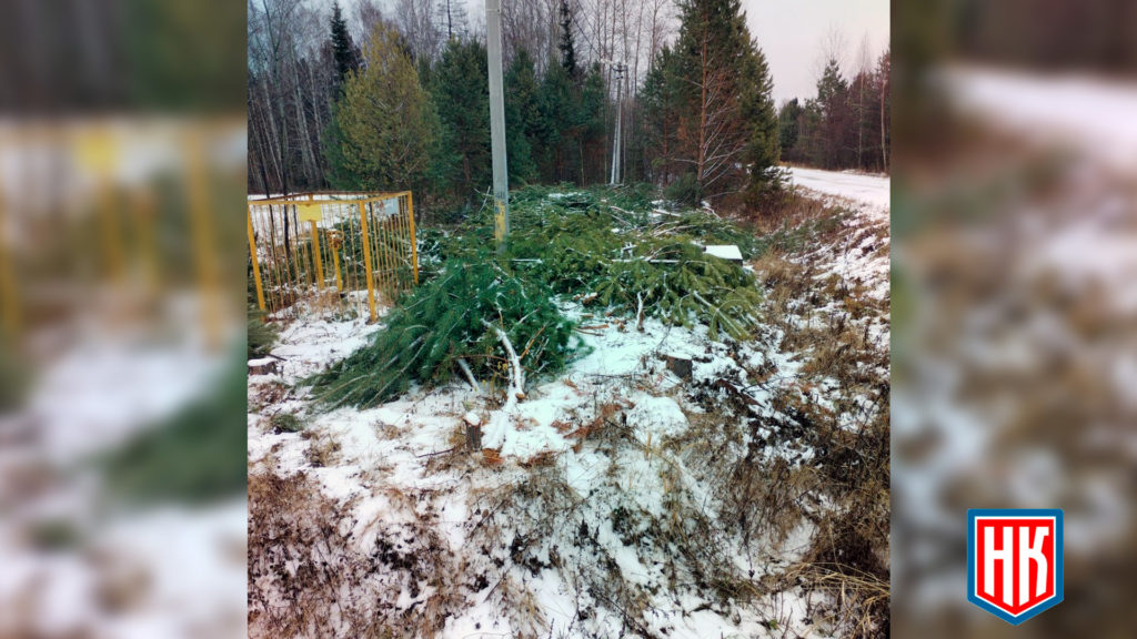 Uvat-ul.-Hvojnaya-1024x576 В Увате коммунальщики после работ не убрали территорию от веток