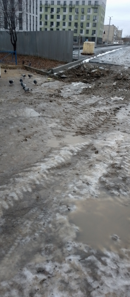 image-143-450x1024 В Ирбите жители дома на ул. Маршала Жукова, 5 вышли на протест против захвата парковки застройщиком