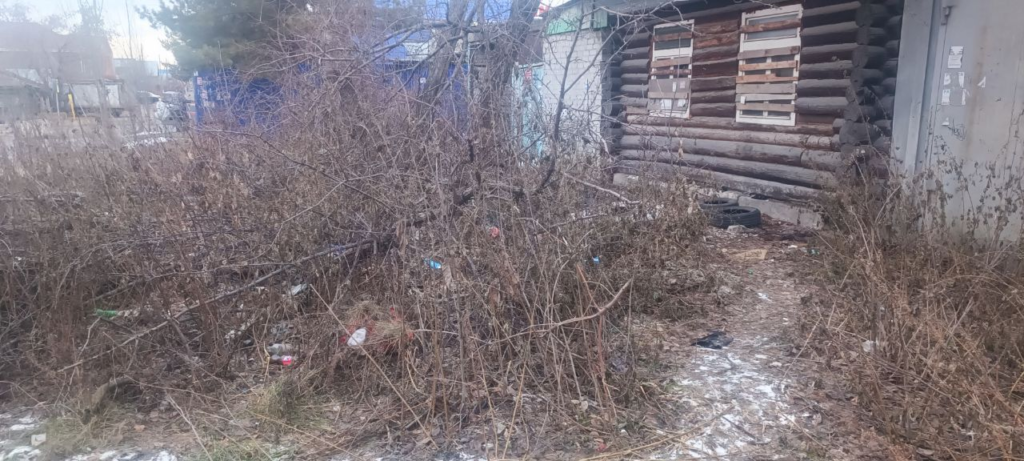 image-150-1024x461 Заброшенный участок на Лизы Чайкиной в Тюмени продолжает зарастать мусором