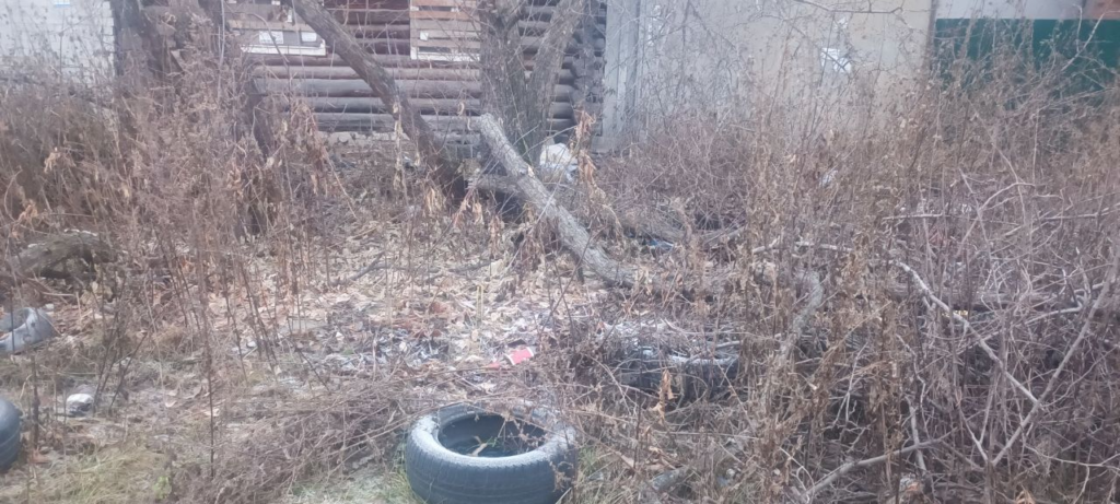 image-151-1024x461 Заброшенный участок на Лизы Чайкиной в Тюмени продолжает зарастать мусором