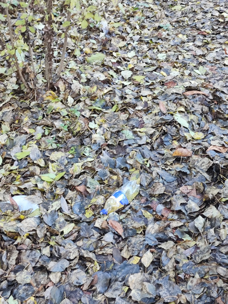 image-20-769x1024 Мусор и листья: в Москве территория у дома на Нахимовском проспекте нуждается в уборке