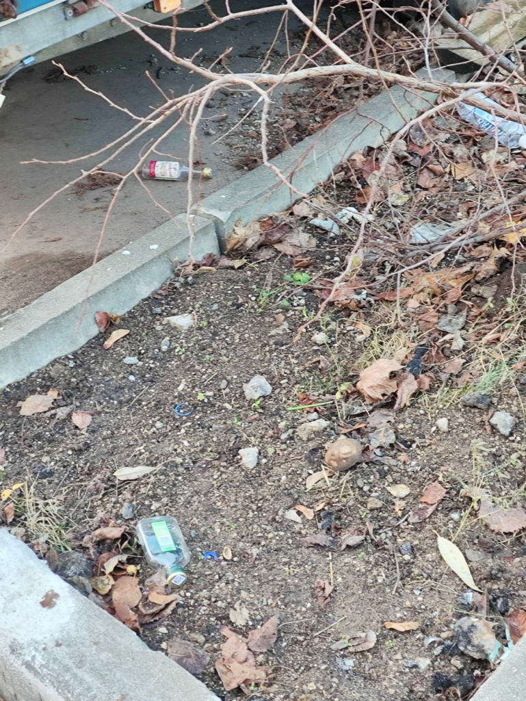 image-21-769x1024 Мусор и листья: в Москве территория у дома на Нахимовском проспекте нуждается в уборке