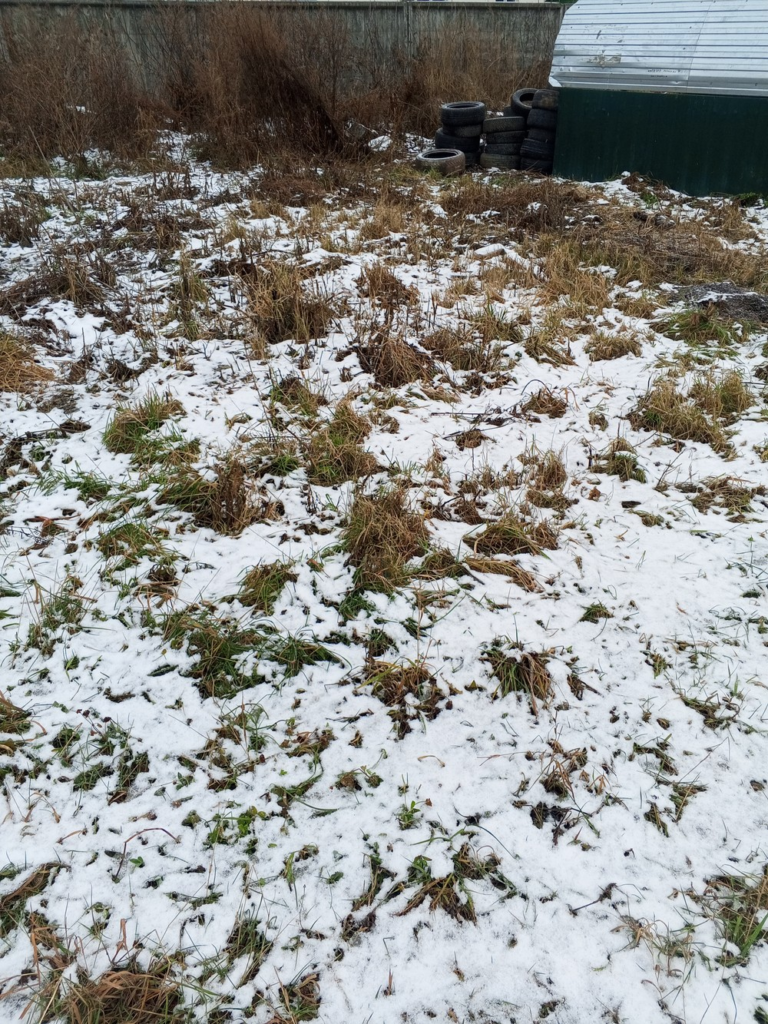 image-58-768x1024 Жители Технической, 66 вновь сообщают о мусоре и шинах у контейнерной площадки