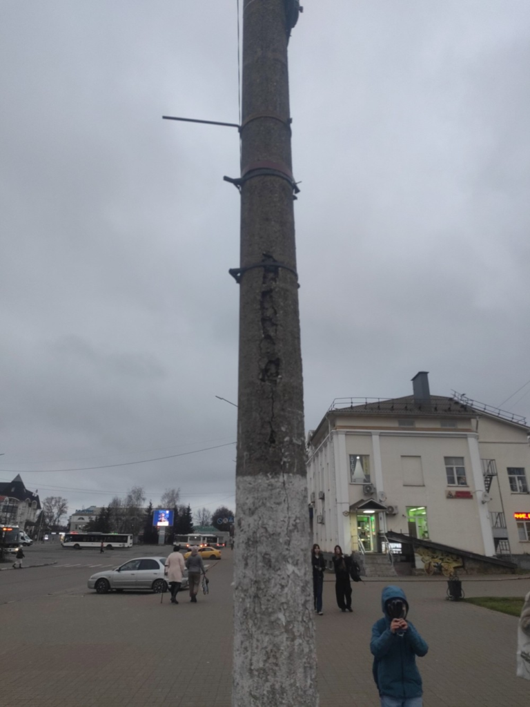 image-63-768x1024 В Сергиевом Посаде сообщили об аварийном столбе у памятника Савве Мамонтову