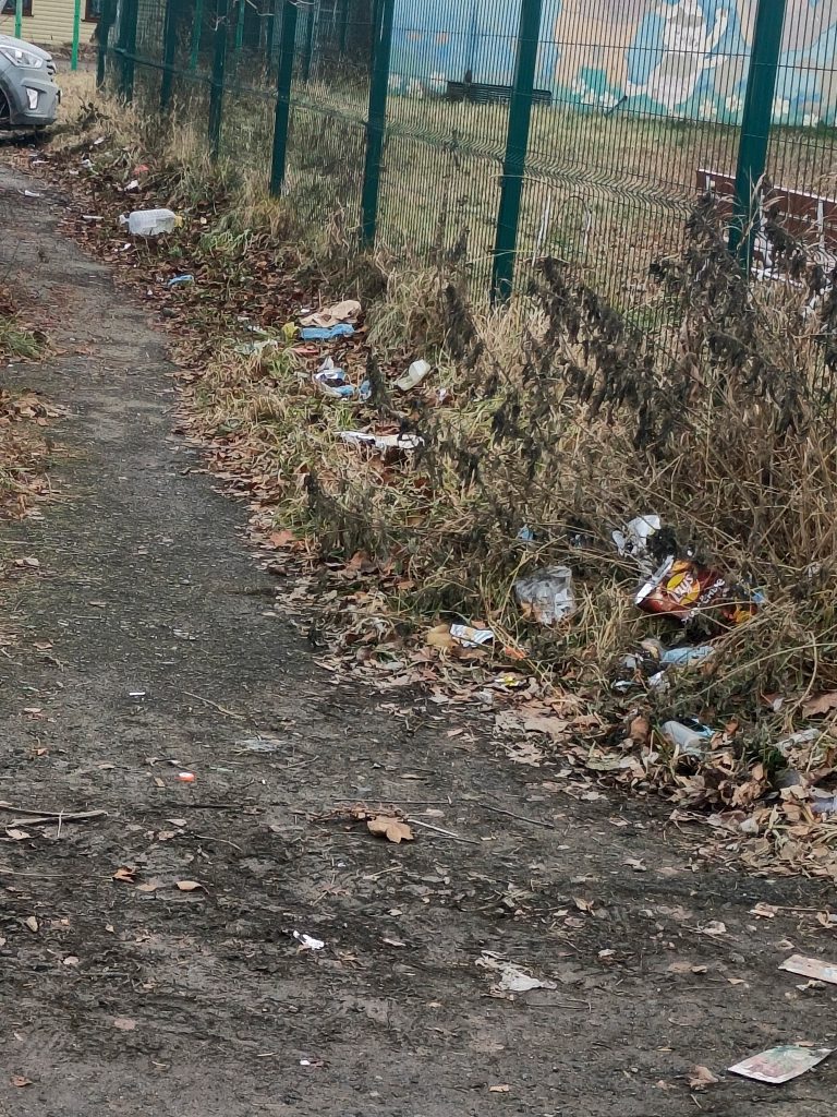 dizelnyj-44-2-768x1024 Екатеринбуржцы пожаловались на свалку у детского сада на Вторчермете