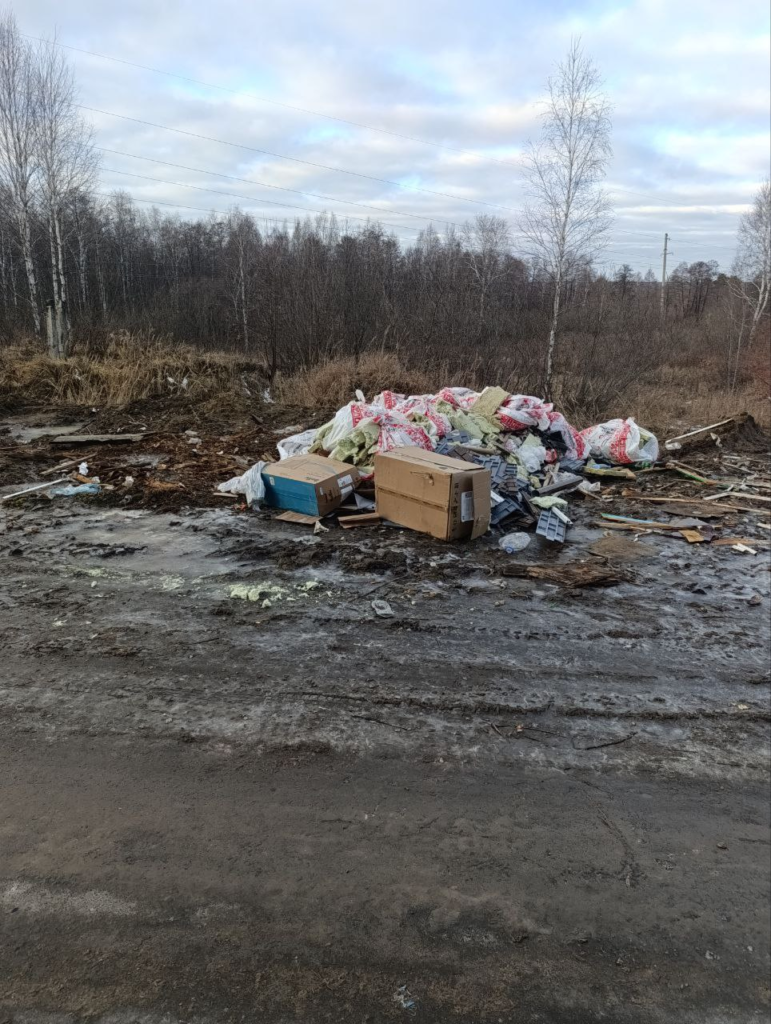 image-15-771x1024 Червишевское кладбище под Тюменью превратилось в свалку