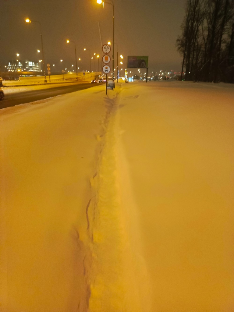 image-26-768x1024 В Москве пожаловались на неубранный тротуар у метро «Новомосковская»