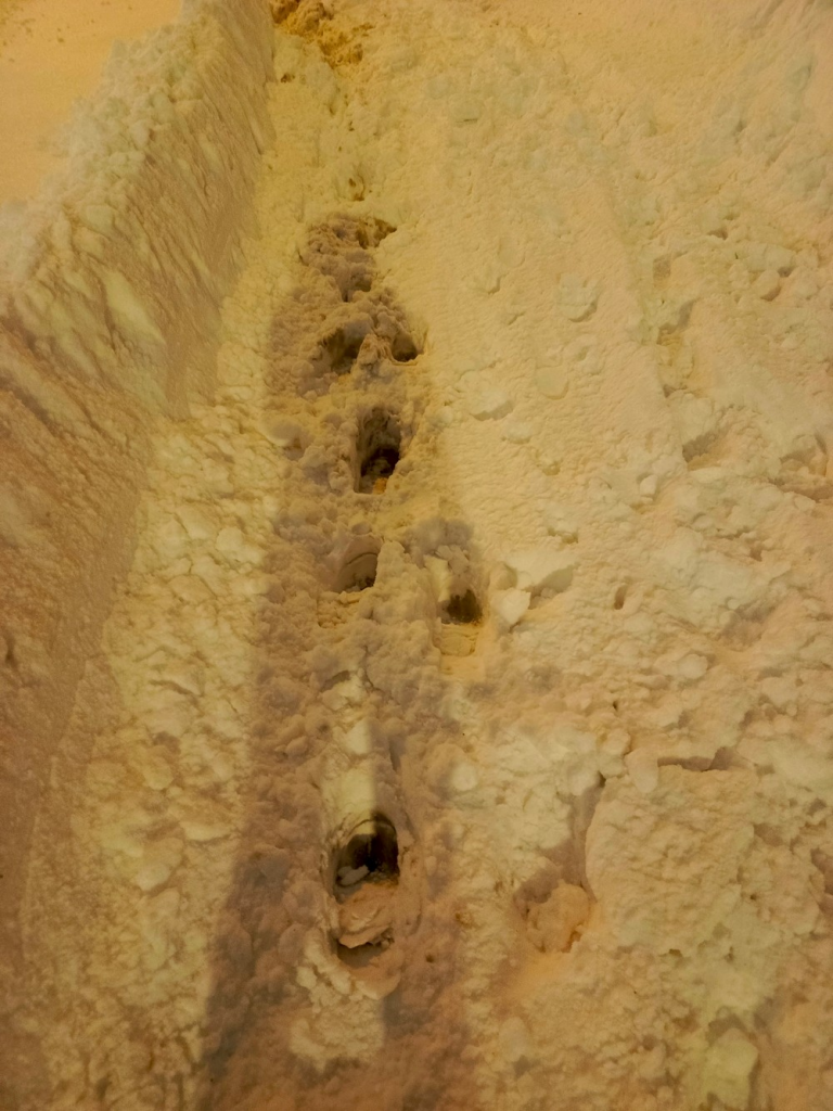 image-27-768x1024 В Москве пожаловались на неубранный тротуар у метро «Новомосковская»