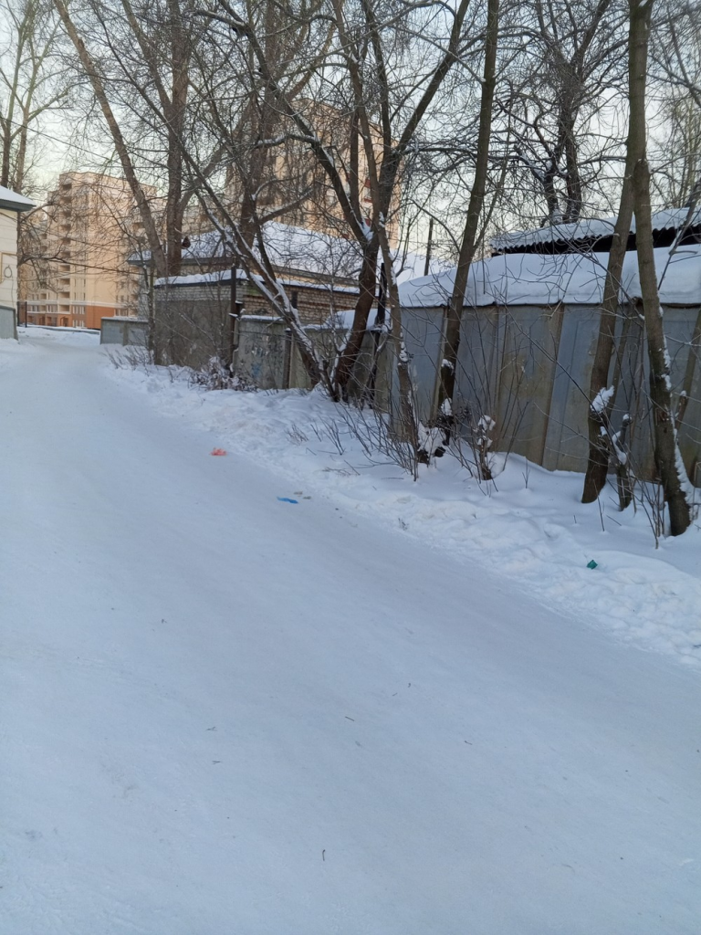 image-44-768x1024 Жители переулка Клубный в Екатеринбурге просят обрезать старые деревья