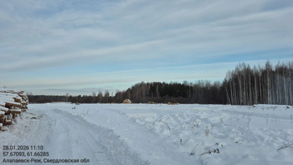 image-52 Под Алапаевском продолжается уничтожение лесов